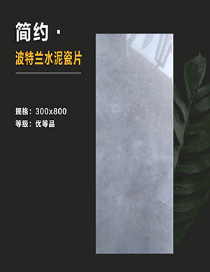 1775810732749796.jpg 瓷片300x800mm2.jpg